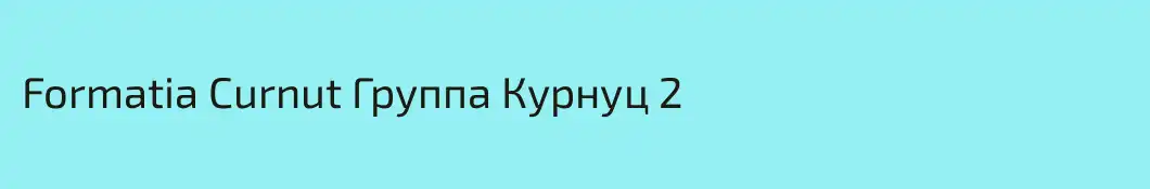 Formatia Curnut Группа Курнуц 2